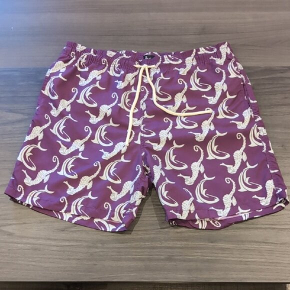 Roosevelt Del Mar Republic Swim Trunks Seahorse Dolphin Print - Picture 12 of 12